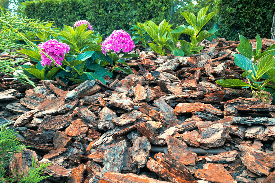 Píniová kôra dekoračná použitie